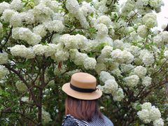 -大龙山(地铁站)