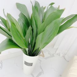 -韩美绣·骨相纹眉·洗眉美瞳线