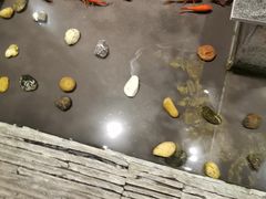 -呷哺呷哺(隆基泰和店)
