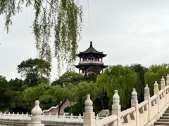 -莱西月湖公园