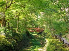 -三千院