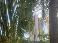 -亚马逊丛林水乐园