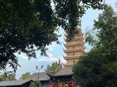 -生宇山珍野生菌汤锅•始于1999(双流古塔店)