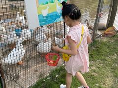 -前小桔亲子创意农场·草莓采摘·露营烧烤