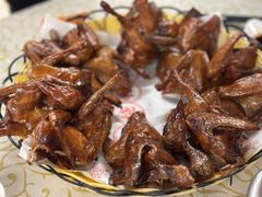 -百利鸽王(紫薇路店)