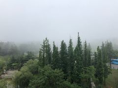 -青岛银沙滩温德姆至尊酒店