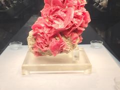 -湖南省地质博物馆