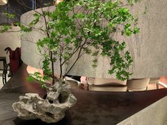 景观位-新兴·金羊座·粤菜点心(乐峰店)