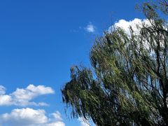 -昆山城市生态森林公园