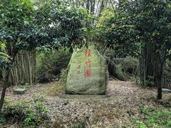 -潜山国家森林公园