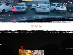 -枫花园汽车电影院(朝阳公园店)
