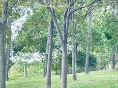 -美兰湖景区