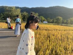 -艾米稻香小镇