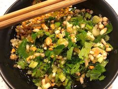 料碟-钢管厂五区小郡肝火锅串串香(总店)