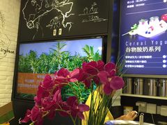 -五谷磨房