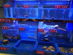 -小龍鳳·港式海鲜打边炉(沙湖路店)