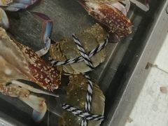-小陆莲花蟹园农家乐(莲花岛店)