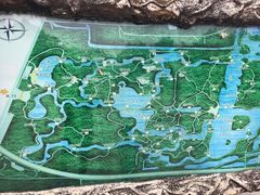 -塘沽森林公园