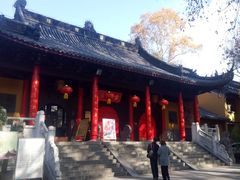 -灵谷景区