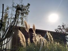 -盘龙城国家考古遗址公园