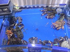 -天顺渔港·海景餐厅(星海广场店)