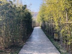 -白鹿原影视城