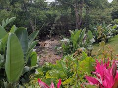 -东寨港红树林旅游区