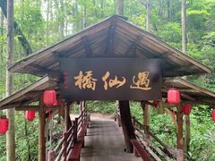 -窦圌山风景区