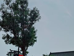 -天津妈祖文化园