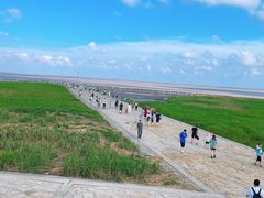 -南汇嘴观海公园