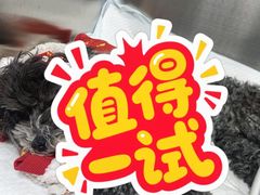 -派美特宠物医院·核磁CT·骨科肿瘤·疑难转诊(沈农禾丰店)
