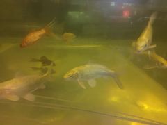 -中影国际影城(兰生大厦CINITY LED店)