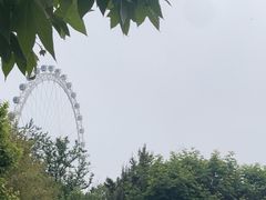 -日照海滨国家森林公园