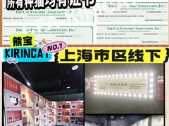 -麒麟缅因猫舍·十五年缅因猫选购中心