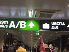 -米兰马尔彭萨国际机场