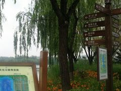 -廊坊文化艺术中心