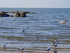 -老虎石海上公园