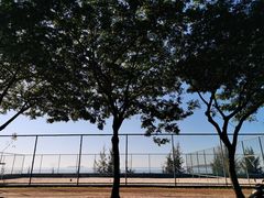 -中国沙滩排球队三亚训练基地