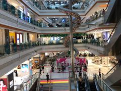 -巴黎春天(浦建店)