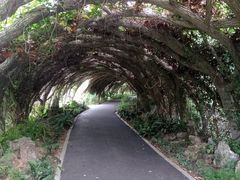 -广西壮族自治区药用植物园