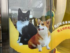 -武汉光谷K11