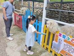 -吉姆冒险世界(蓟州店)