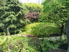 -阿金大白·上海菜馆(新天地店)