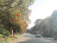 -上海海湾国家森林公园