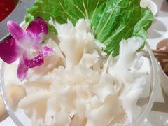 -川西坝子(老军营店)
