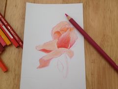 -BRAVO 赞·美艺术中心·系统美术·书法·艺考(双井校区)