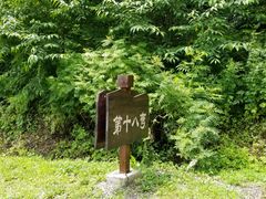 -天女山森林公园