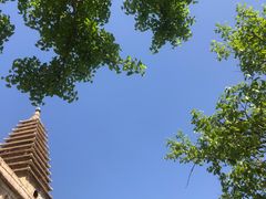 -北京石刻艺术博物馆(五塔寺)