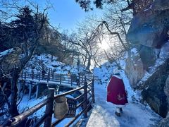 -老君山风景名胜区