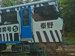 -秦皇岛野生动物园